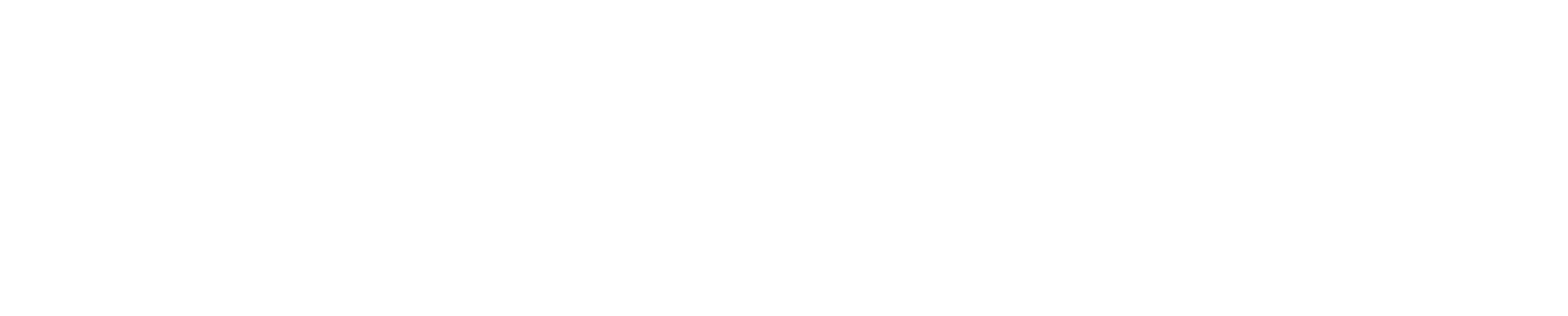TRI-FORCE 柔術アカデミー
